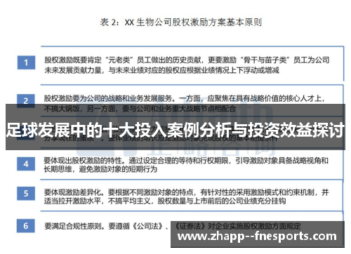 足球发展中的十大投入案例分析与投资效益探讨